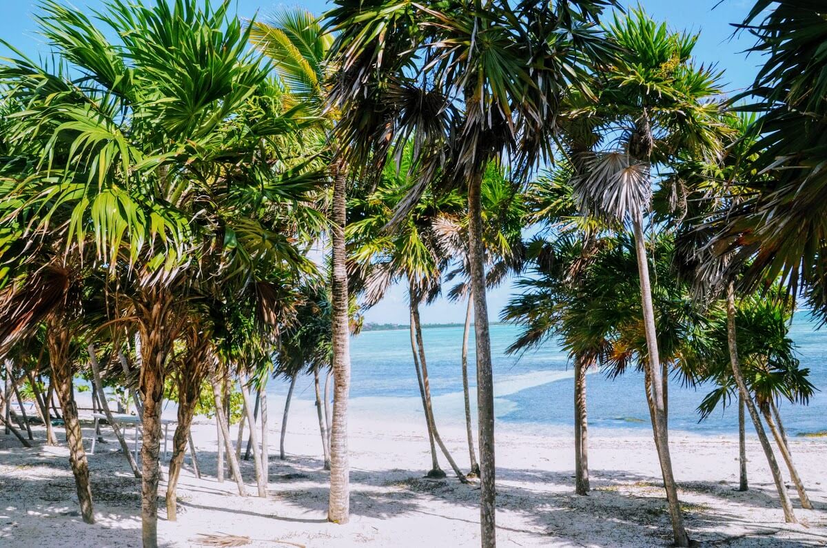 Chamico's, plages du Yucatán