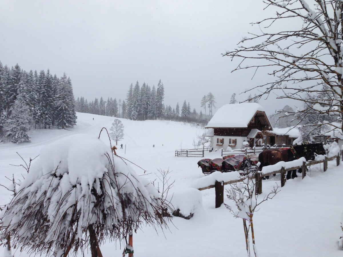 Ramsau am Dachstein, naturisme en hiver