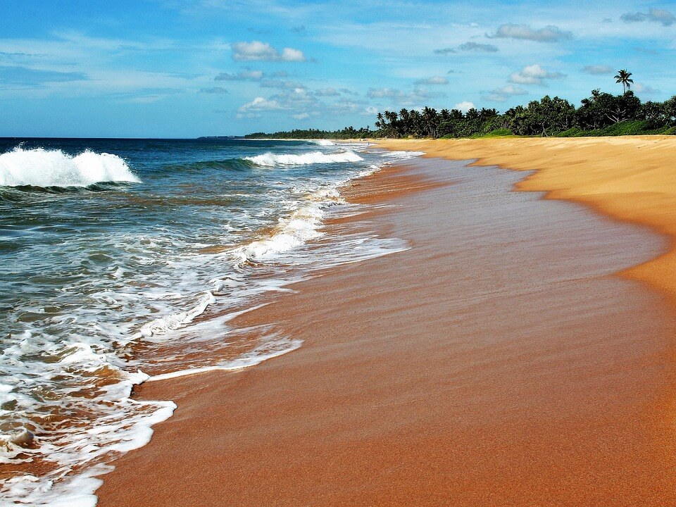 mer calme plage sable cocotier plus belles plages du sri lanka 