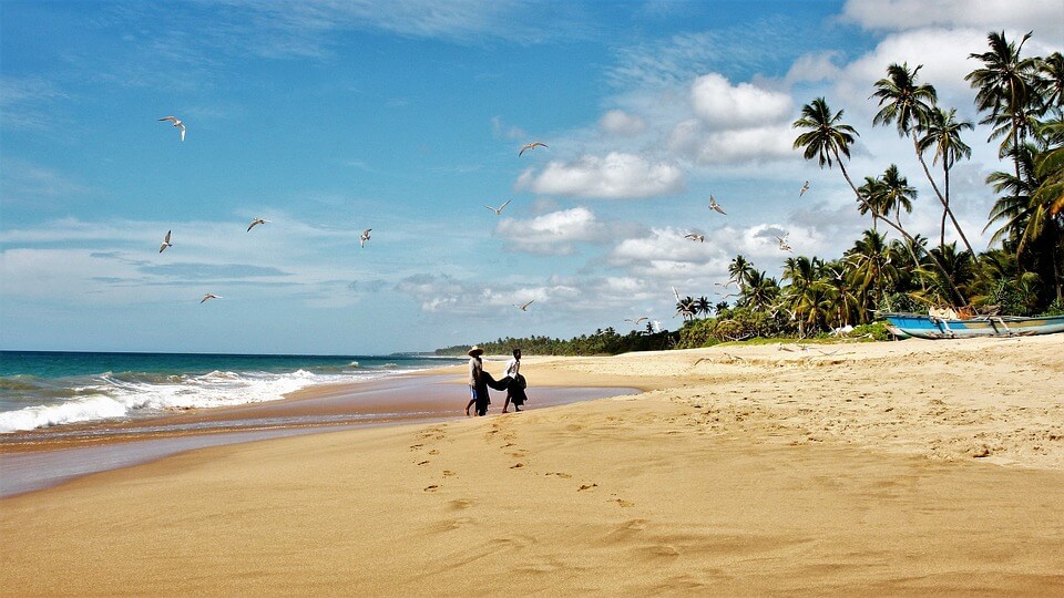 pecheur sri lanka plage paradisiaque du sri lanka