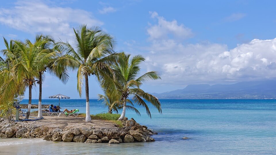 plage de guadeloupe cocotiers