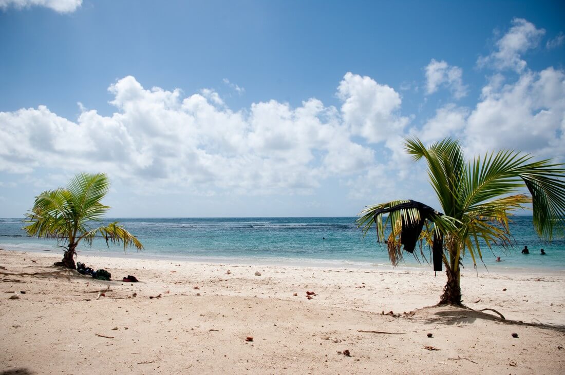 plage des raisins clairs plus belles plages de guadeloupe