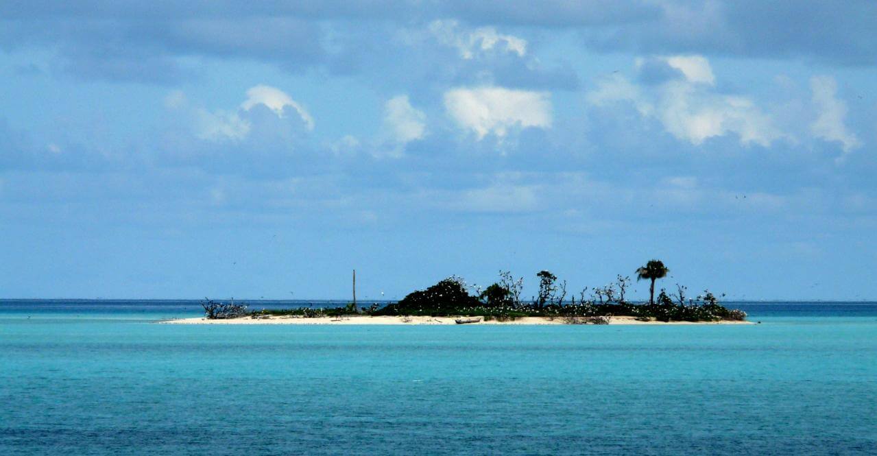 Tubbataha Reef plongée aux philippines