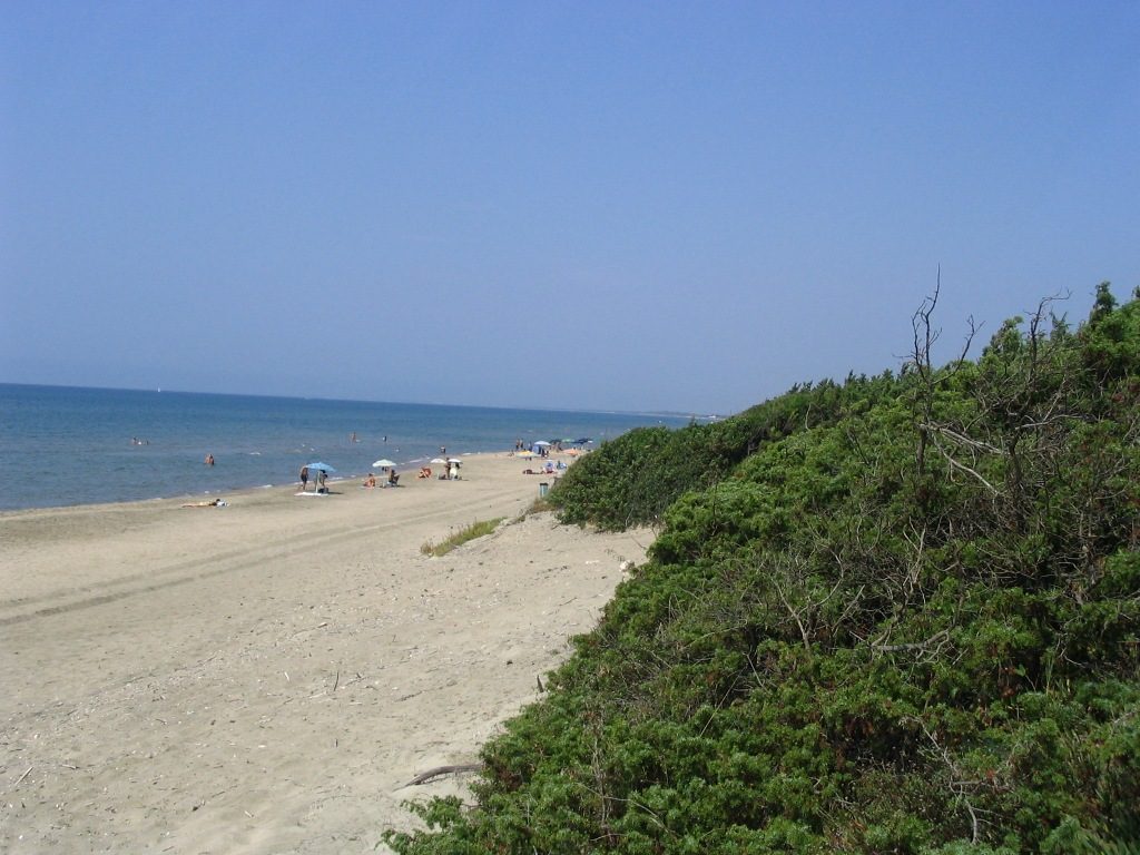 La plage de Sabaudia est tout indiquée pour ceux qui recherchent un endroit calme, pour se détendre loin de la foule.