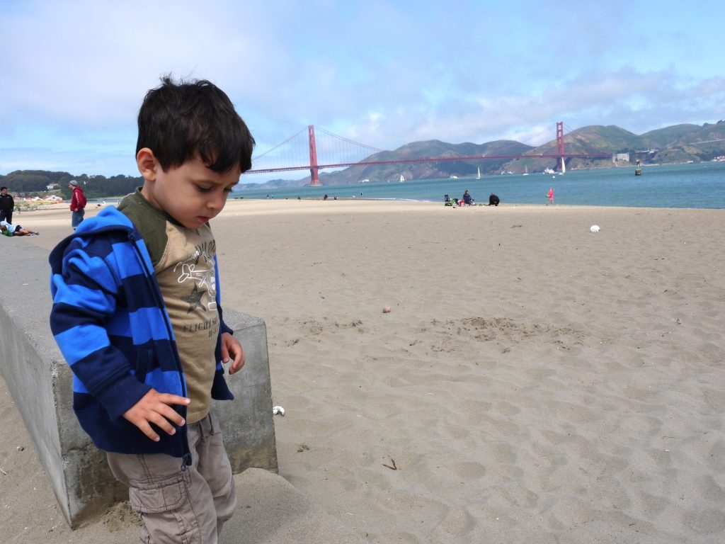 Crissy Field, figurant sur la liste des meilleurs de San Francisco plage, est une des meilleures plages familiales des environs.