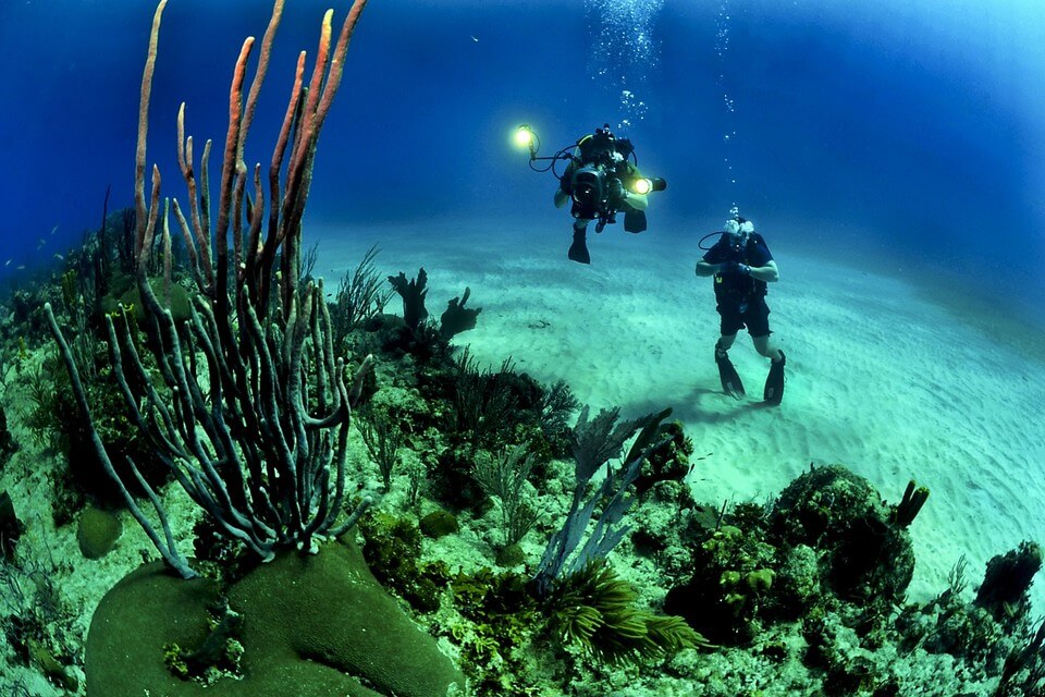 fond marin plongeurs corail plongée en Guadeloupe