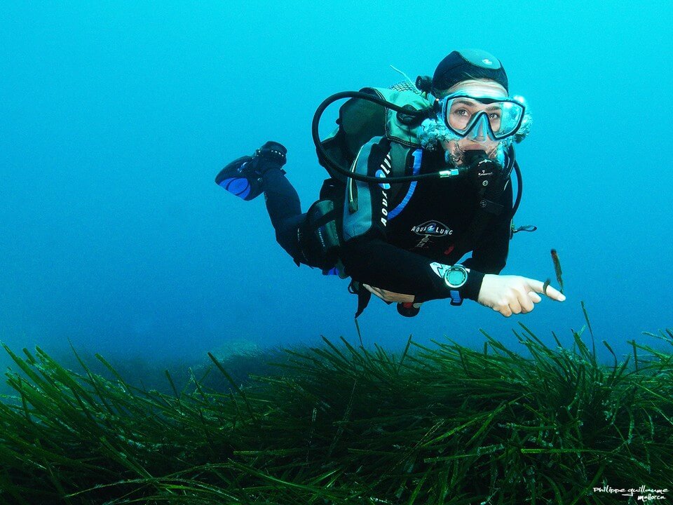 femme plongée algues plongée à Majorque 
