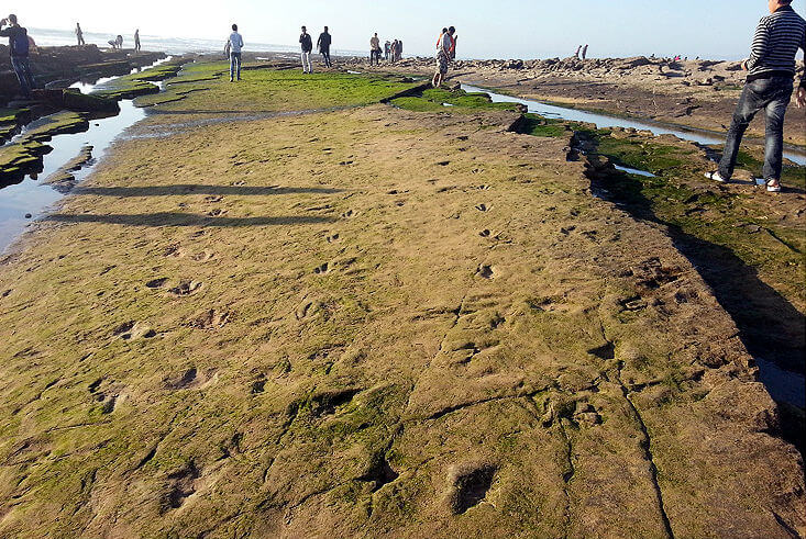 plage d'anza traces plages d'agadir