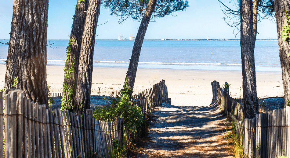dune arbres plages de charente maritime