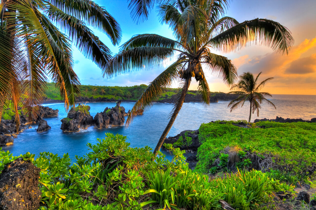 Maui Horaires des Marées en Mars 2024 Ça baigne