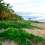 Où et quand se baigner en Guyane : température de la mer mois par mois