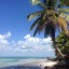 Quand se baigner sur l'Île Saona : température de la mer mois par mois