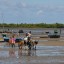 Horaires des marées à Morondava des 14 prochains jours