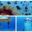 Plongée à l’île Maurice : les meilleurs spots, clubs, tarifs, quand plonger…