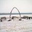 Horaires des marées à Kotzebue des 14 prochains jours