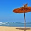 Horaires des marées à Casablanca des 14 prochains jours