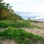 Température de la mer en octobre en Guyane