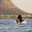 Horaires des marées au Cap des 14 prochains jours