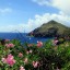 Quand se baigner à Saba : température de la mer mois par mois