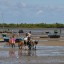 Horaires des marées à Morombe des 14 prochains jours